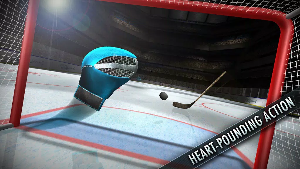 Hockey Showdown Screenshot3