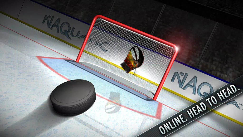 Hockey Showdown Screenshot1