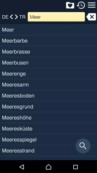 German Turkish Dictionary Screenshot1