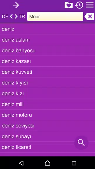 German Turkish Dictionary Screenshot4