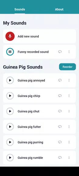 Guinea Pig Sounds Screenshot1