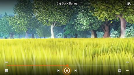 VLC for Android Screenshot27