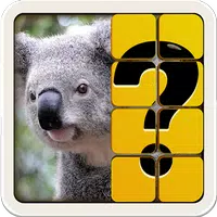 Guess The Picture APK