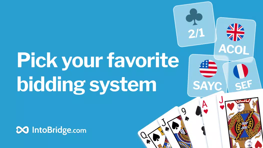 IntoBridge Screenshot6