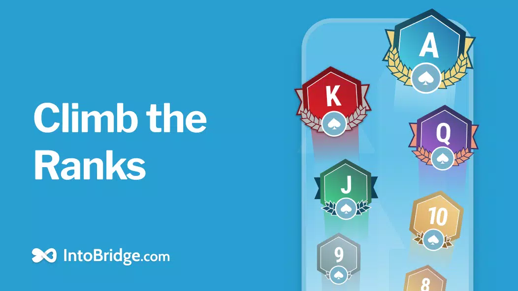 IntoBridge Screenshot5