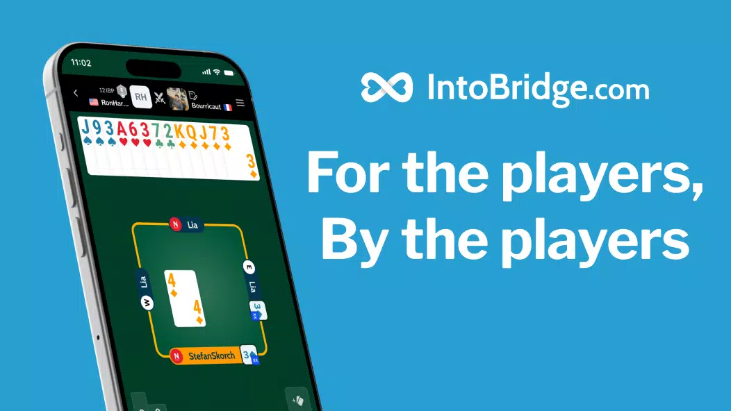 IntoBridge Screenshot8