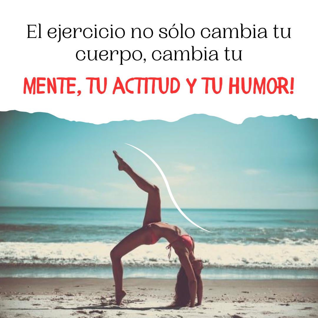 Imagenes con Frases Screenshot11