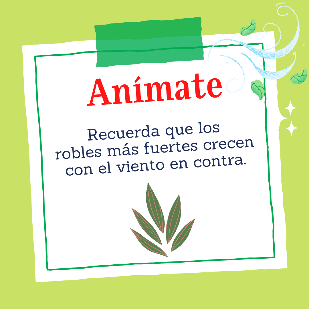 Imagenes con Frases Screenshot9