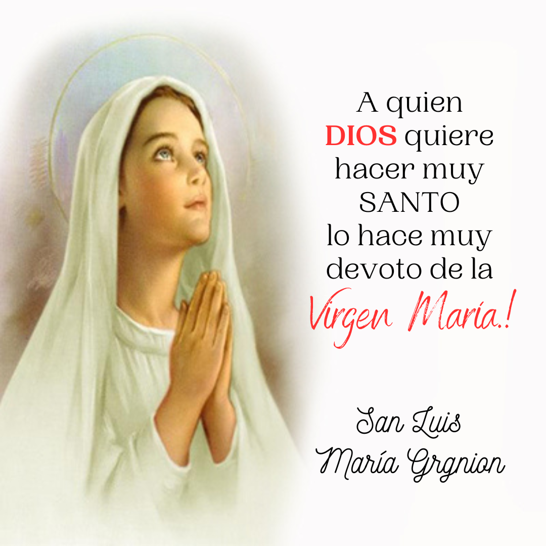Imagenes con Frases Screenshot13