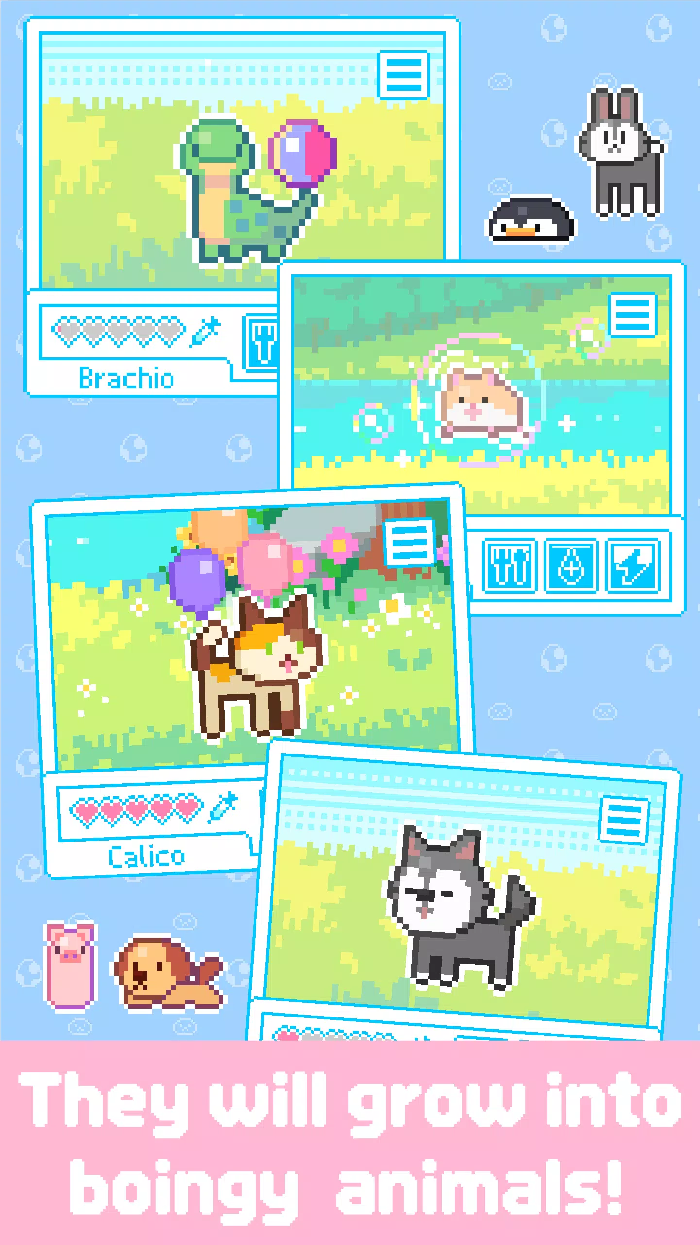 Boing Boing Animals Screenshot2