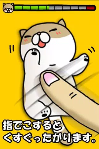 Joke cat Screenshot7