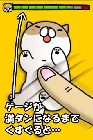 Joke cat Screenshot2