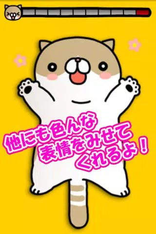 Joke cat Screenshot3