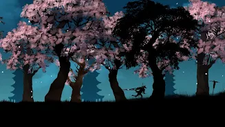 Ninja Arashi Screenshot1