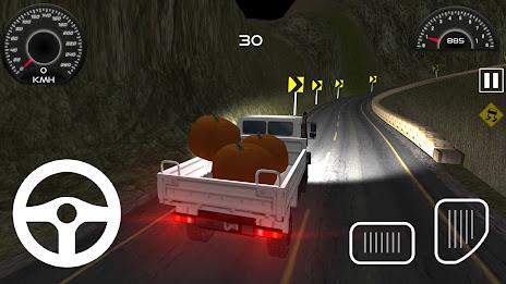 Cargo Truck Driving Game Screenshot14