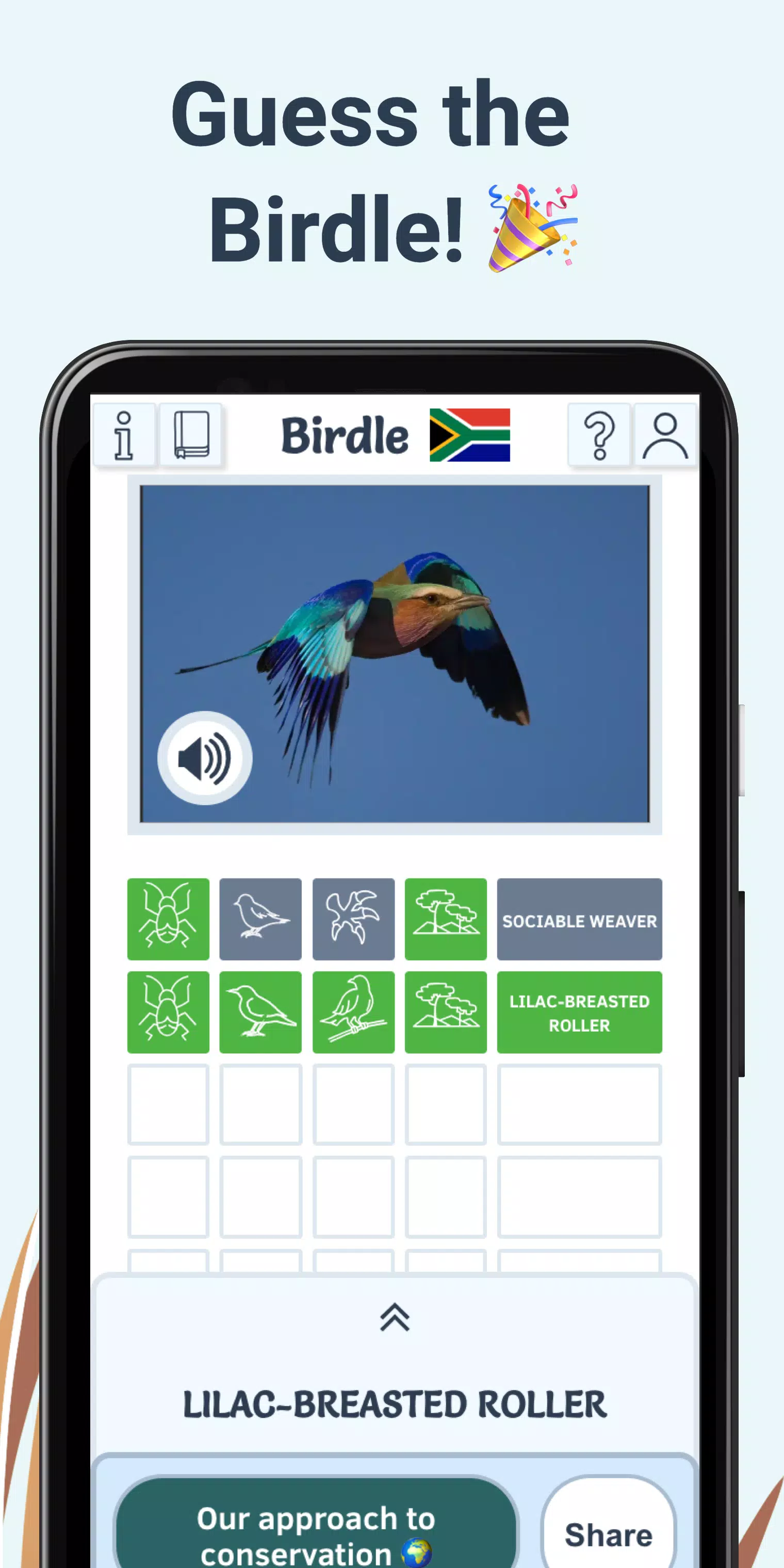 Birdle Screenshot5